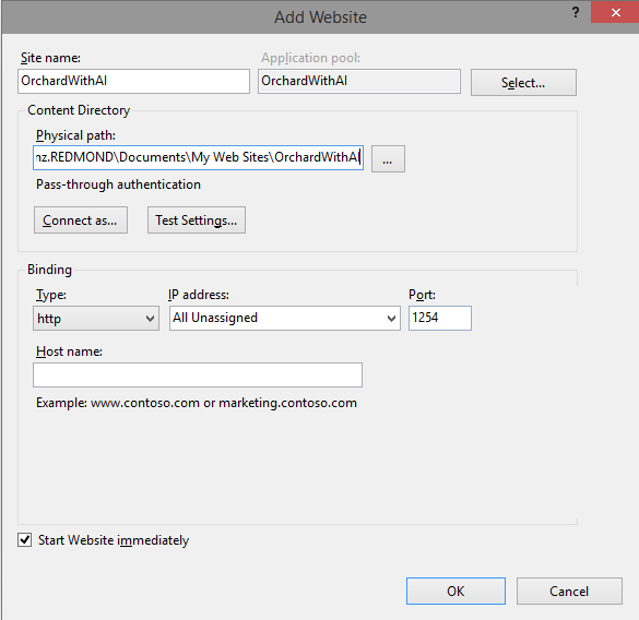 create web site in IIS